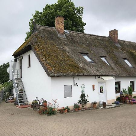 Ferienwohnung Landhaus Zurow Екстер'єр фото