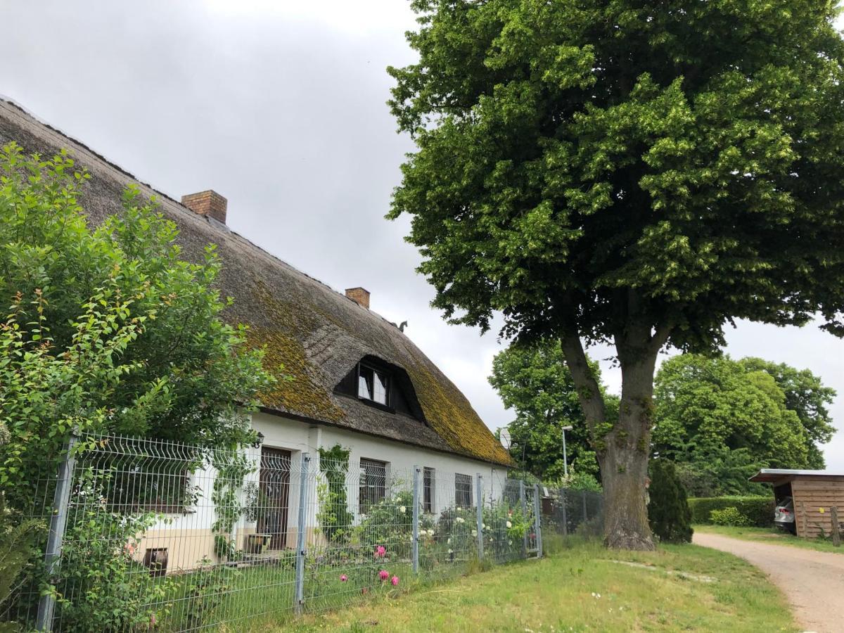 Ferienwohnung Landhaus Zurow Екстер'єр фото